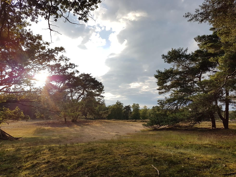 Camping bij het drouwenerzand.jpg
