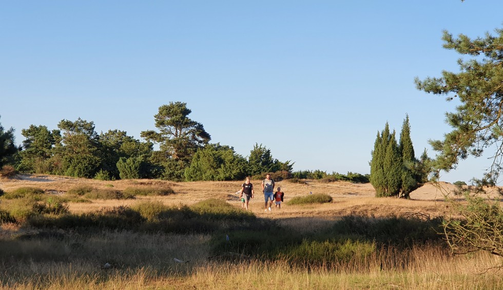 Drenthe Drouwenerzand.jpg