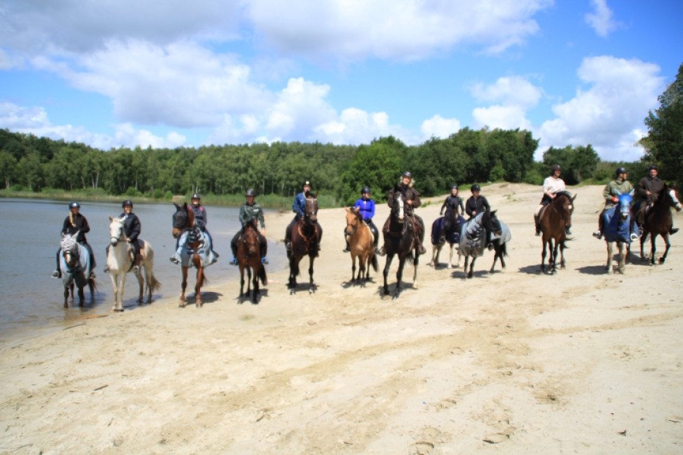 Paardrijden bij de manege in gasselte.jpg