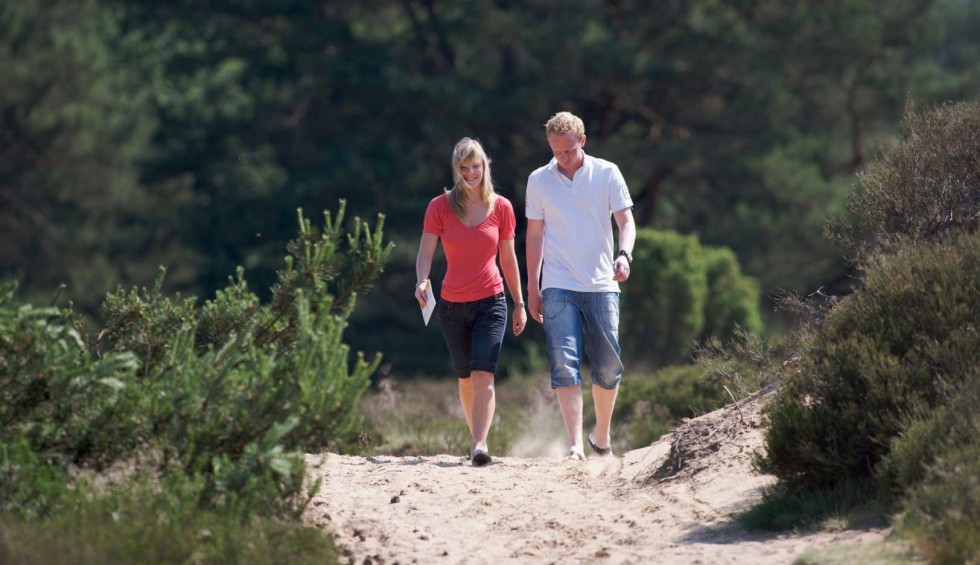 wandelen in drenthe2.jpg