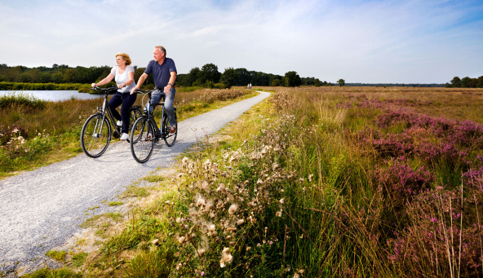 fietsen in drenthe.png