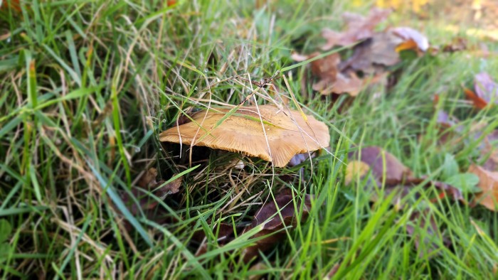 Paddenspoel camping de Berken