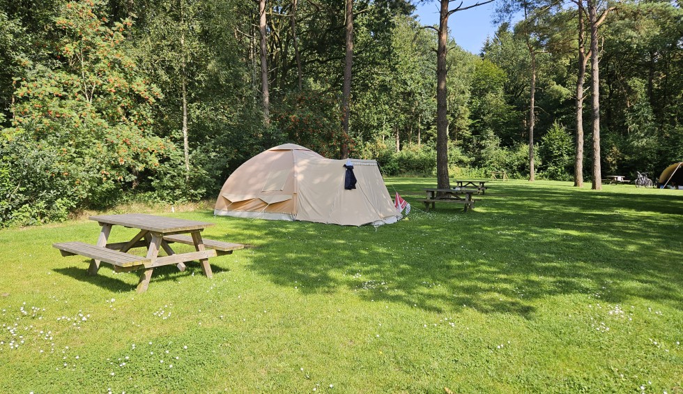 Tentplaats met picknickbank.jpg