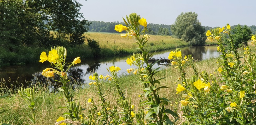 Ontdek de omgeving van Assen vanuit een natuurhuisje.jpg