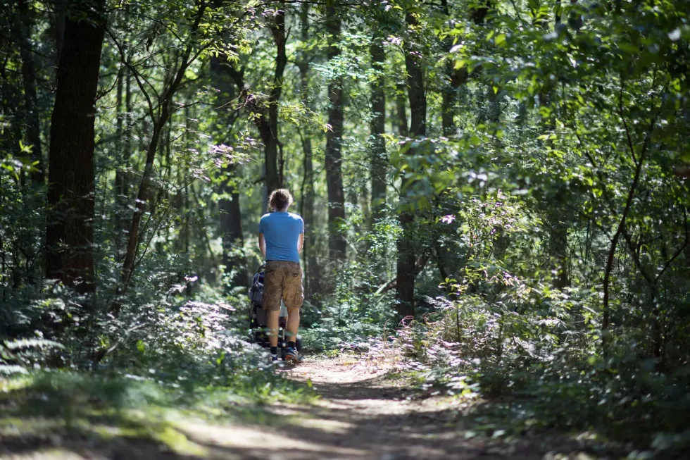 Kindercamping bij het bos in Drenthe