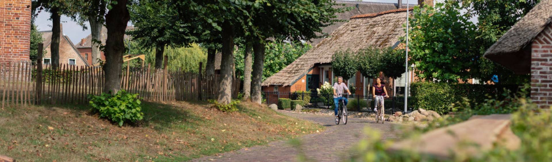 banner rolde.jpg