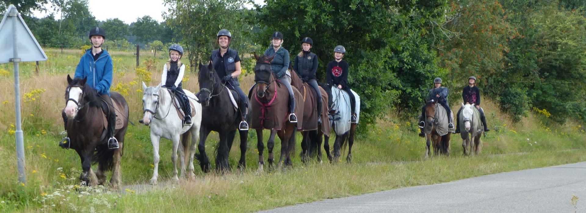 Paardrijden in gasselte.jpg