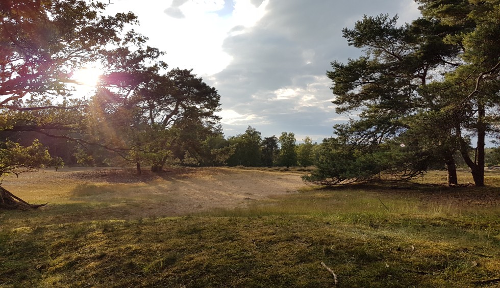 Camping bij het drouwenerzand.jpg