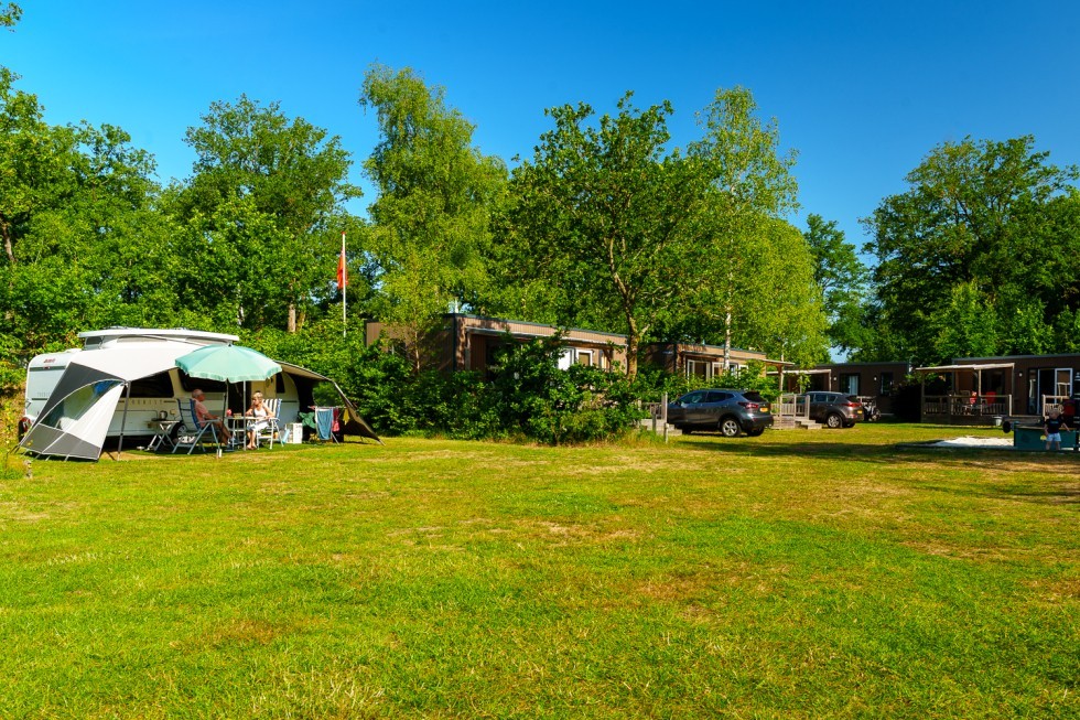 ruime-kampeerplaats-rustige-camping-drenthe.jpg