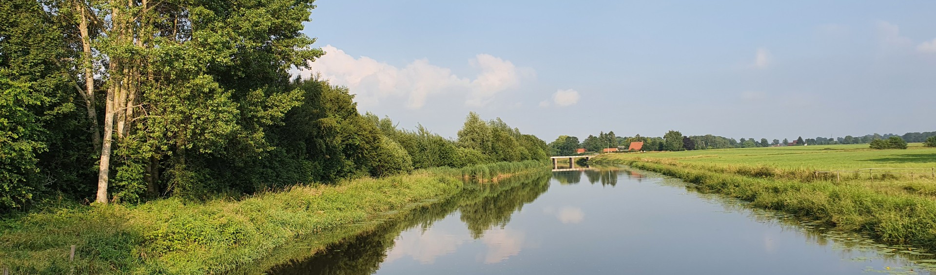 natuur nabij camping de Berken.jpg