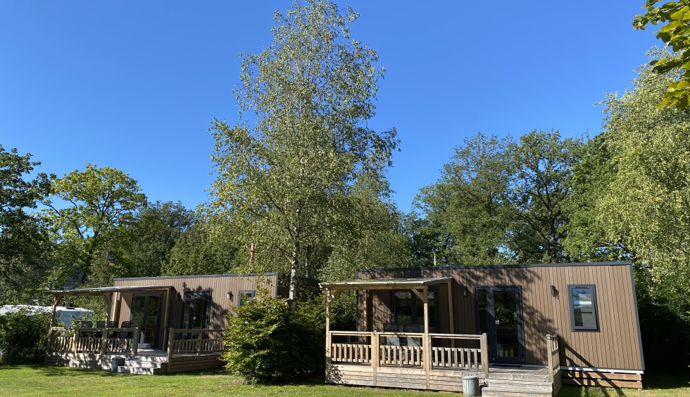 huurchalets op Camping de Berken.jpeg