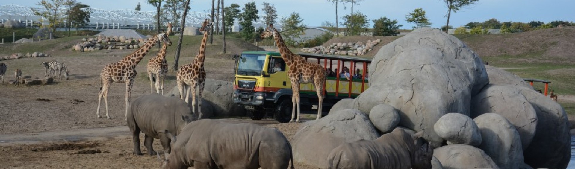 safari-wildlands-emmen-camping-de-berken.jpg