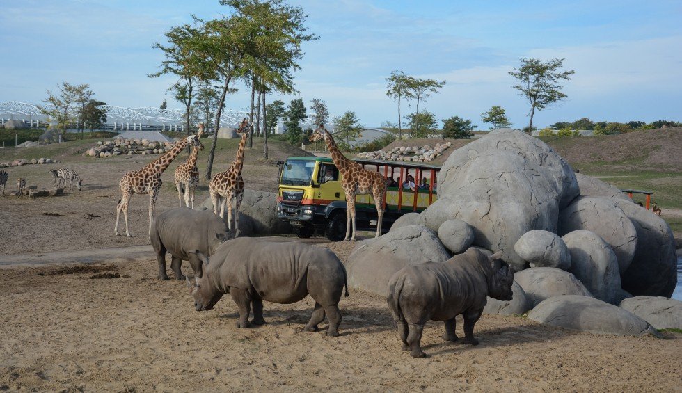 safari-wildlands-emmen-camping-de-berken.jpg