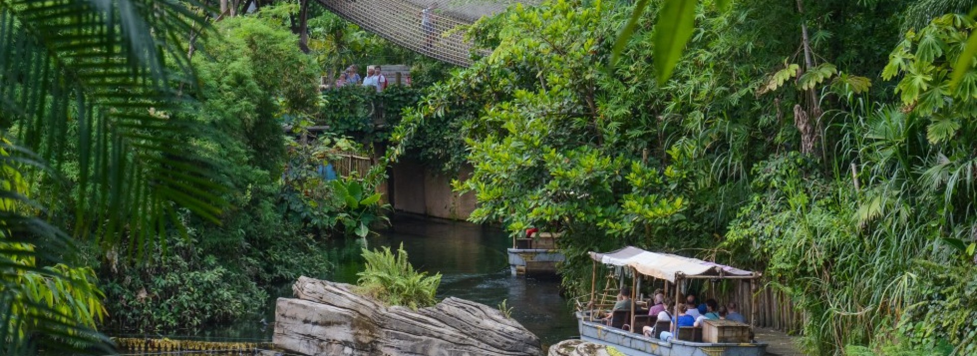 wildlands-jungle-attractie-emmen.jpg