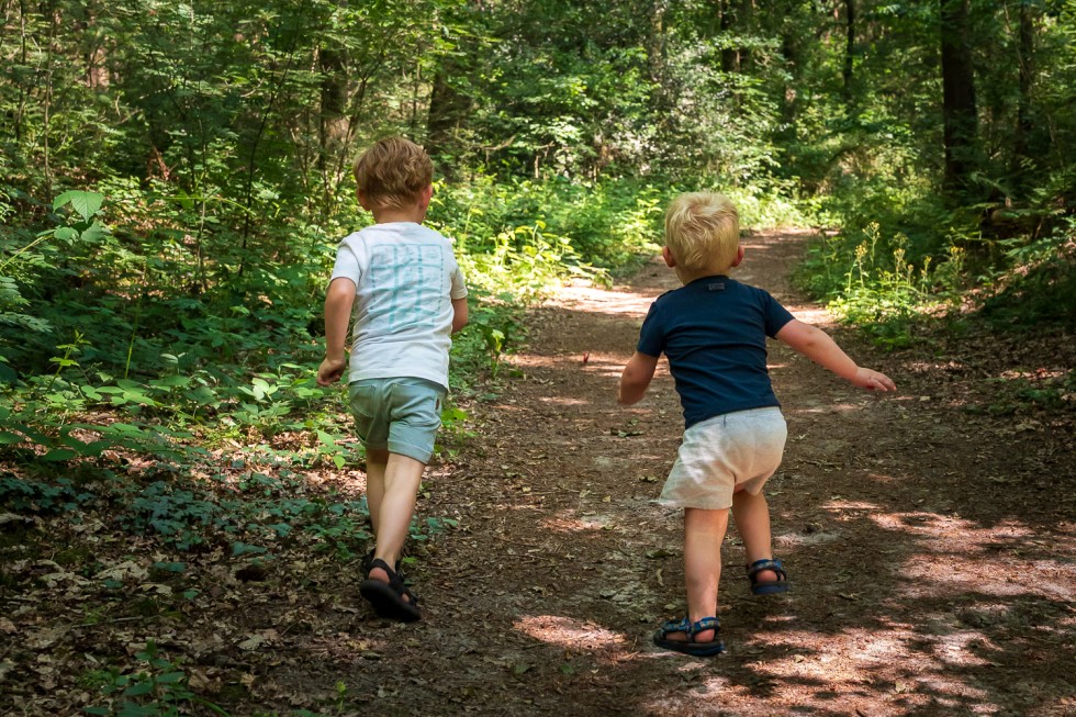 rennen-wandelen-kleine-camping-drenthe.jpg