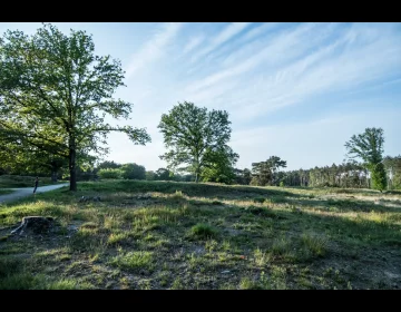 Gasselterheide