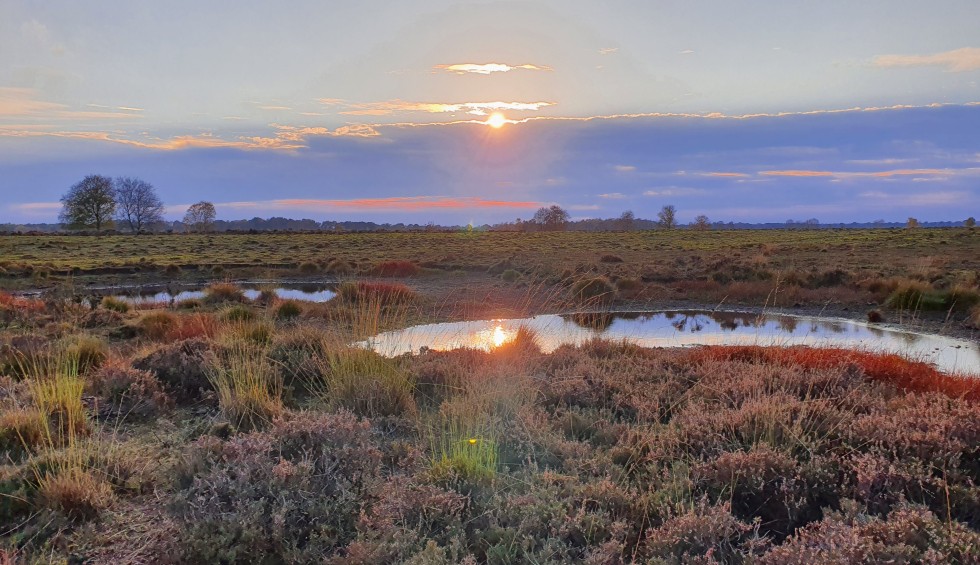 Ontdek de omgeving van natuurhuisje Drenthe.jpg