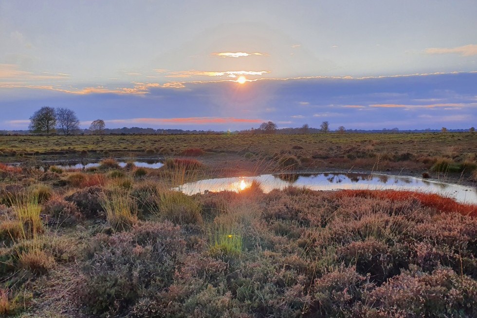 natuurhuisje-groningen-heide-zonsondergang.jpg