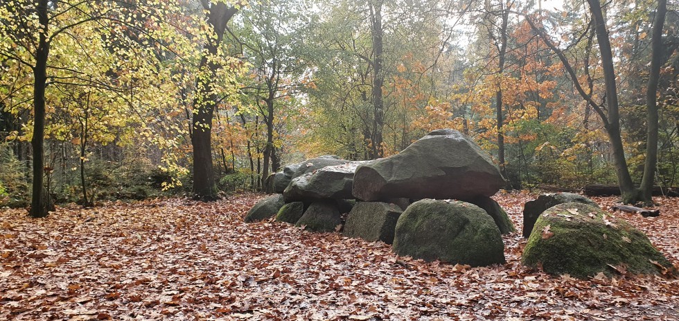 hunebed-anloo-herfstbos-drouwen-drenthe.jpg