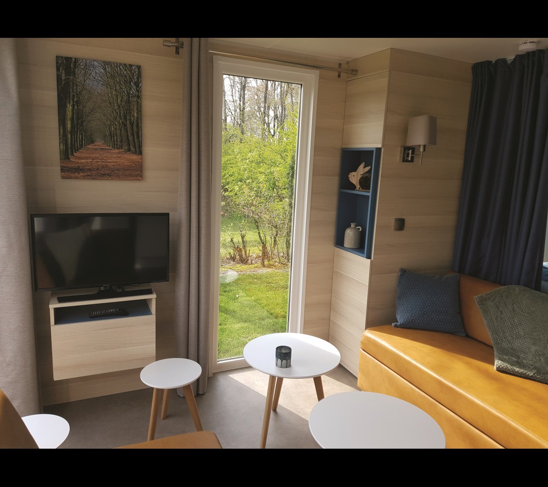 Leefgedeelte berkenstudio de luxe