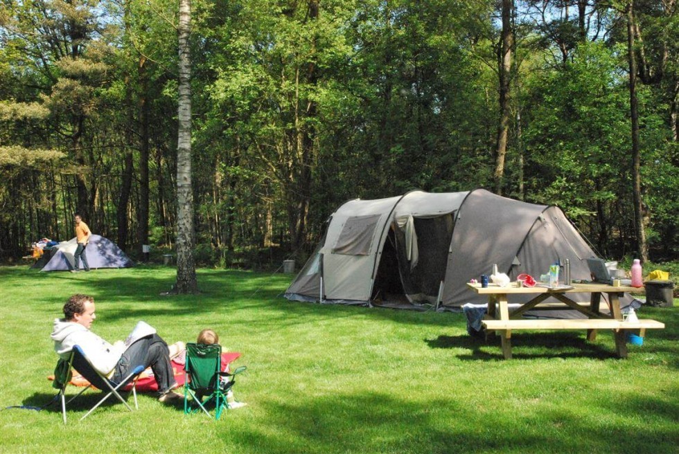 tentplaatsen-bosrand-rustige-camping-drenthe.jpg