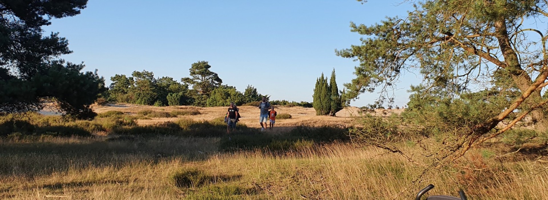 wandelen-natuur-bij-borger-drouwenerzand-drenthe.jpg
