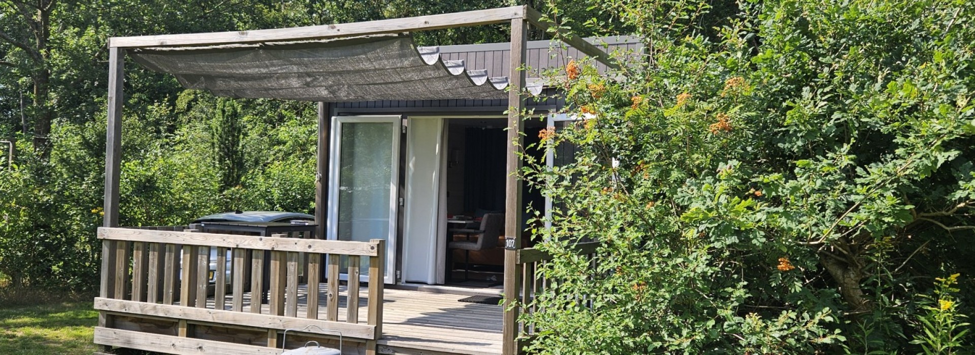 natuurhuisje-groningen-chalet-veranda-groen.jpg