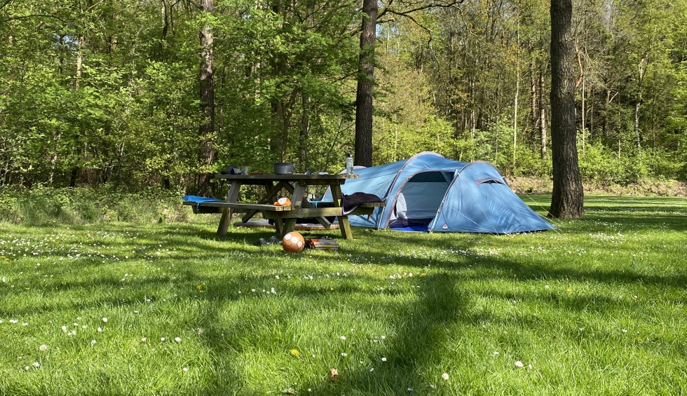 Cliffview campground store