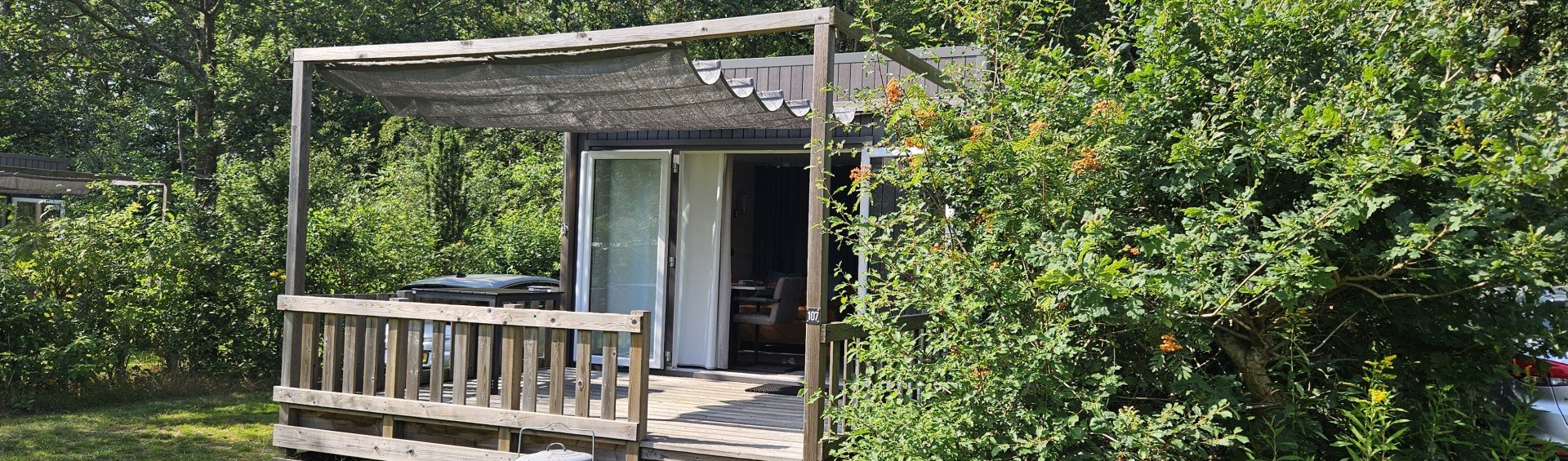 natuurhuisje-gasselte-veranda-groen.jpg