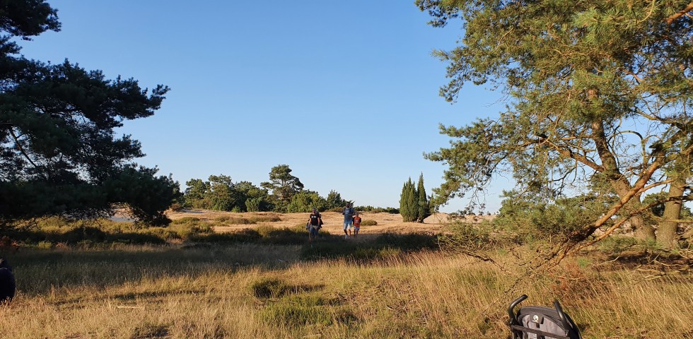 drouwenerzand.jpg