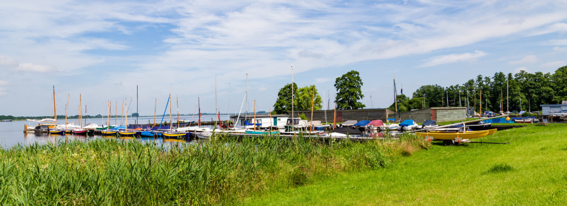 banner zuidlaren.png