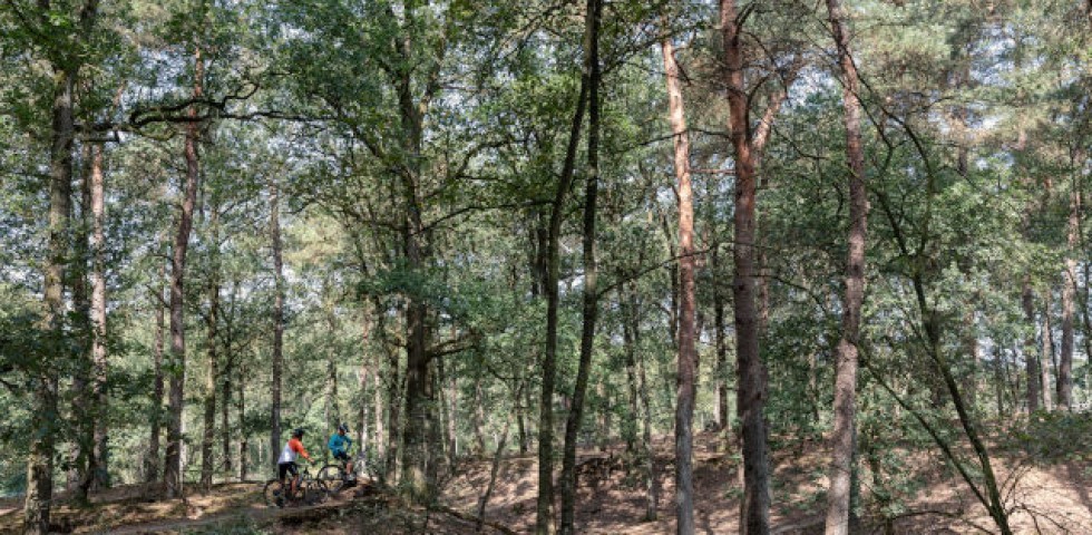 Mountainbiken in Gasselte en gieten