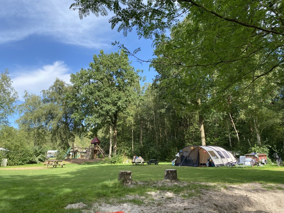 natuurkampeerveld-tent-autovrij-camping-de-berken-drenthe.jpeg