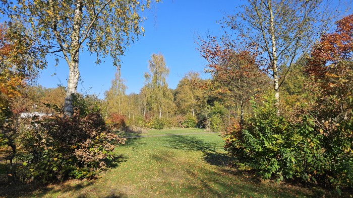 sfeerimpressie camping de Berken