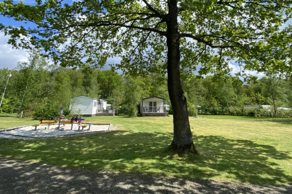 natuurhuisje-groningen-groen-speelveld.jpg