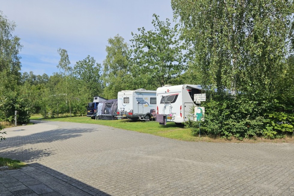 camperplaatsen-anloo-groen-veld-camping-de-berken.jpg