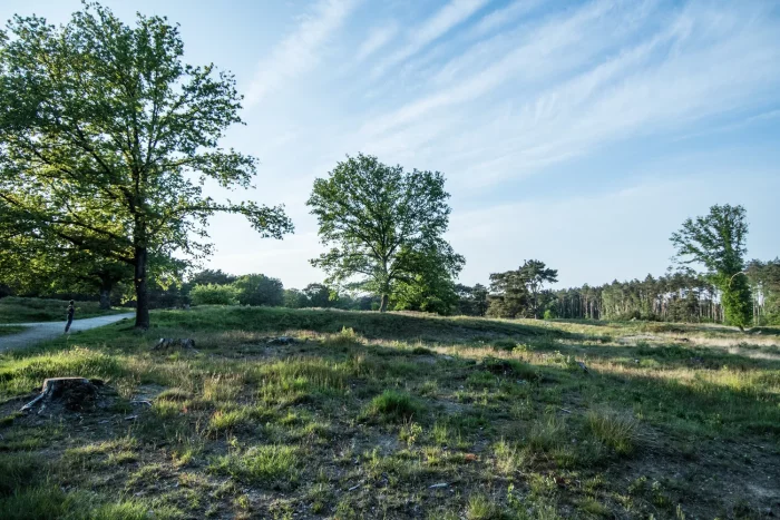 Gasselterheide