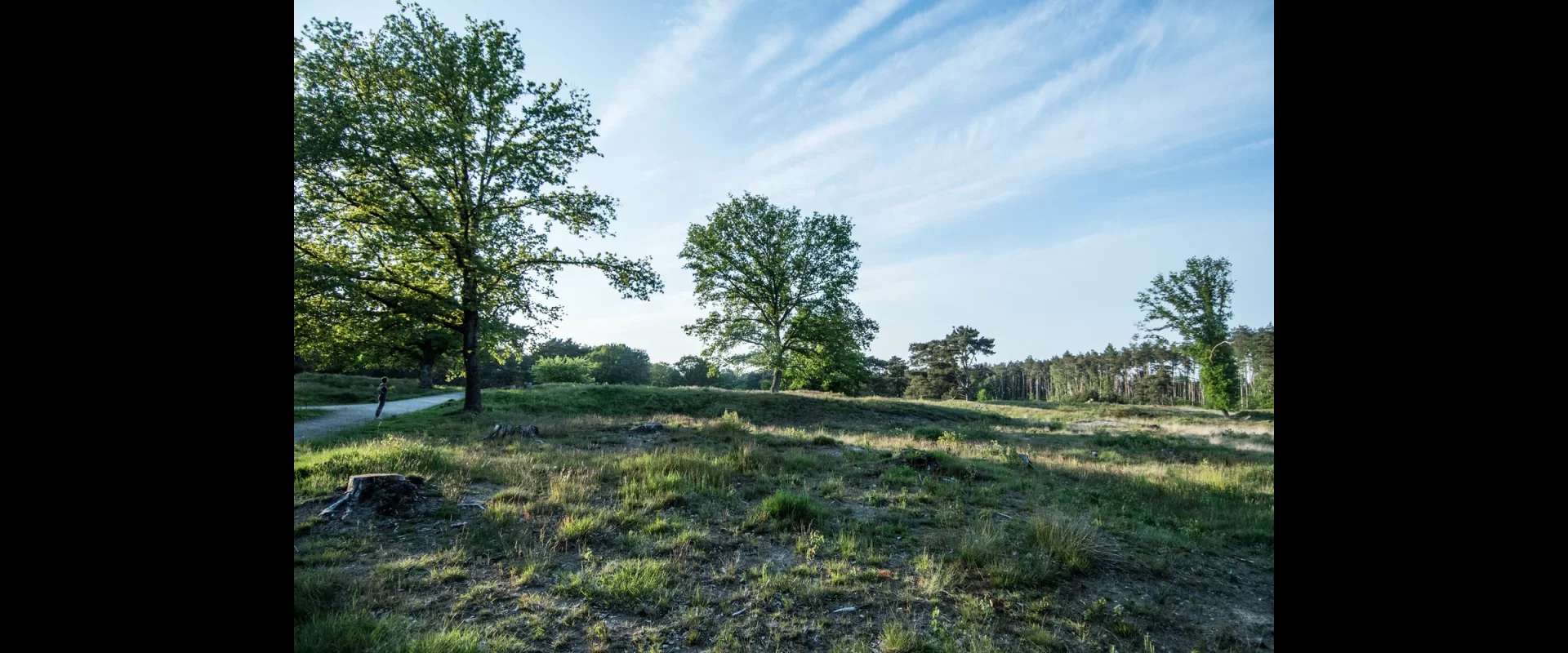 Gasselterheide