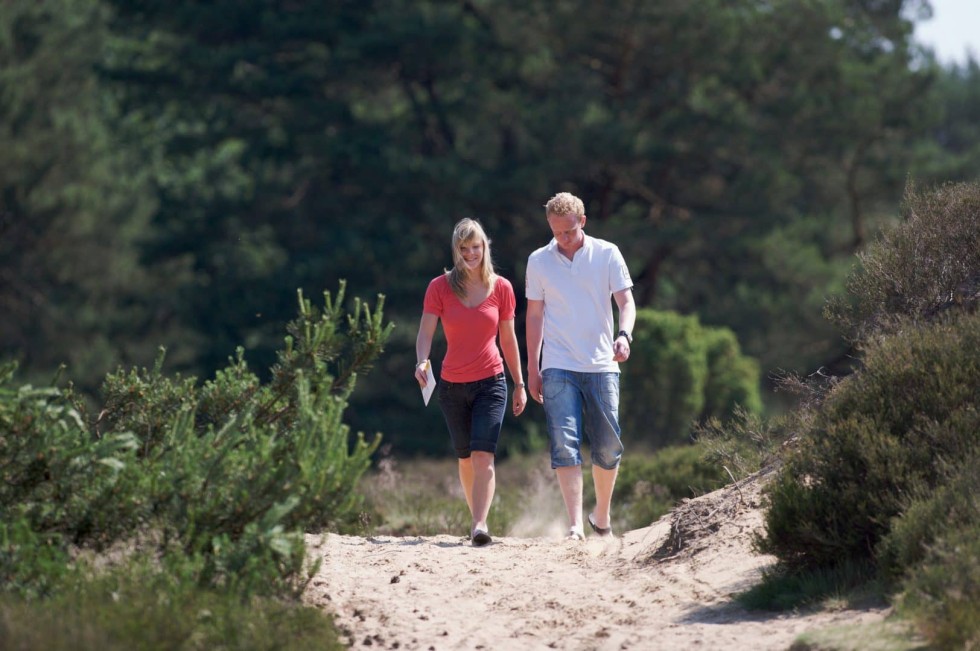 wandelen in drenthe2.jpg