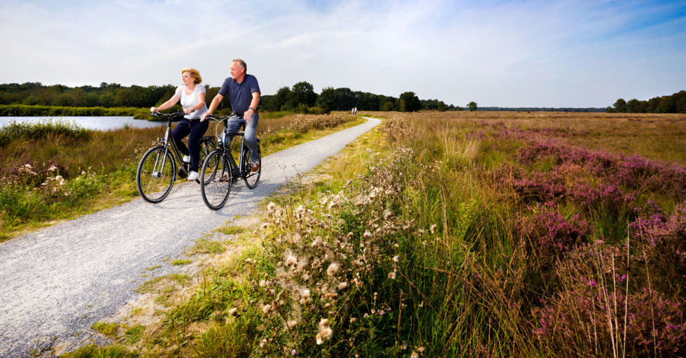 fietsen in drenthe.png