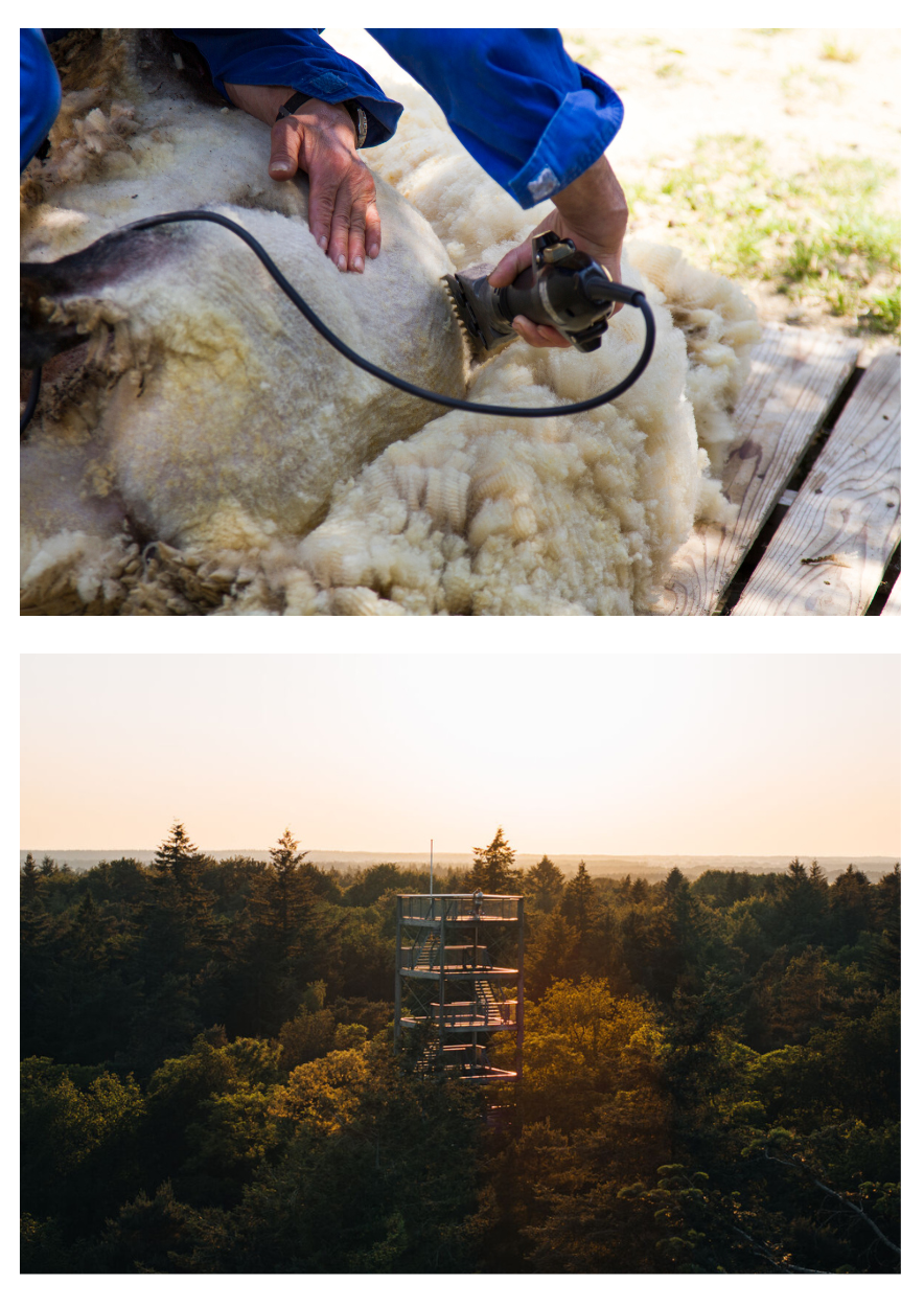 toeristische activiteiten exloo en odoorn.png