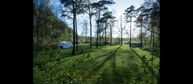 Tentenveld