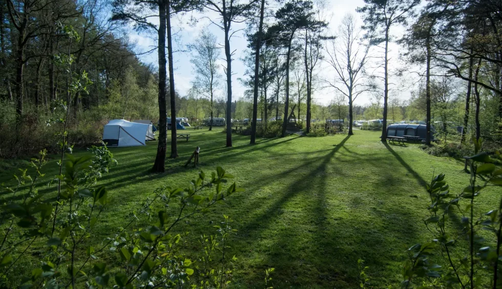Tentenveld