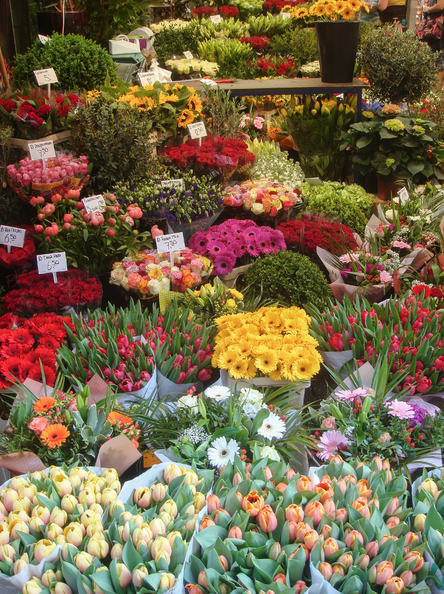 markt.png