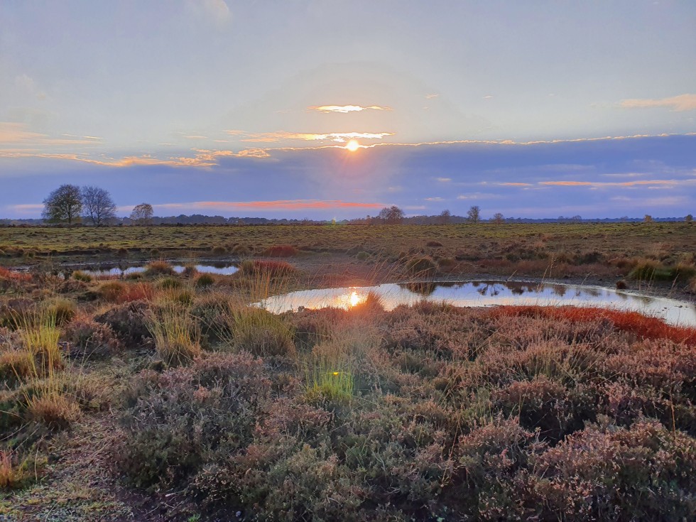 Ontdek de omgeving van natuurhuisje Drenthe.jpg