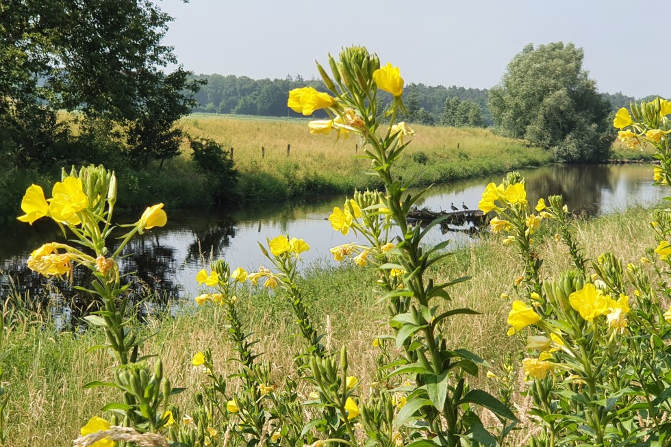 Ontdek de omgeving van Assen vanuit een natuurhuisje.jpg