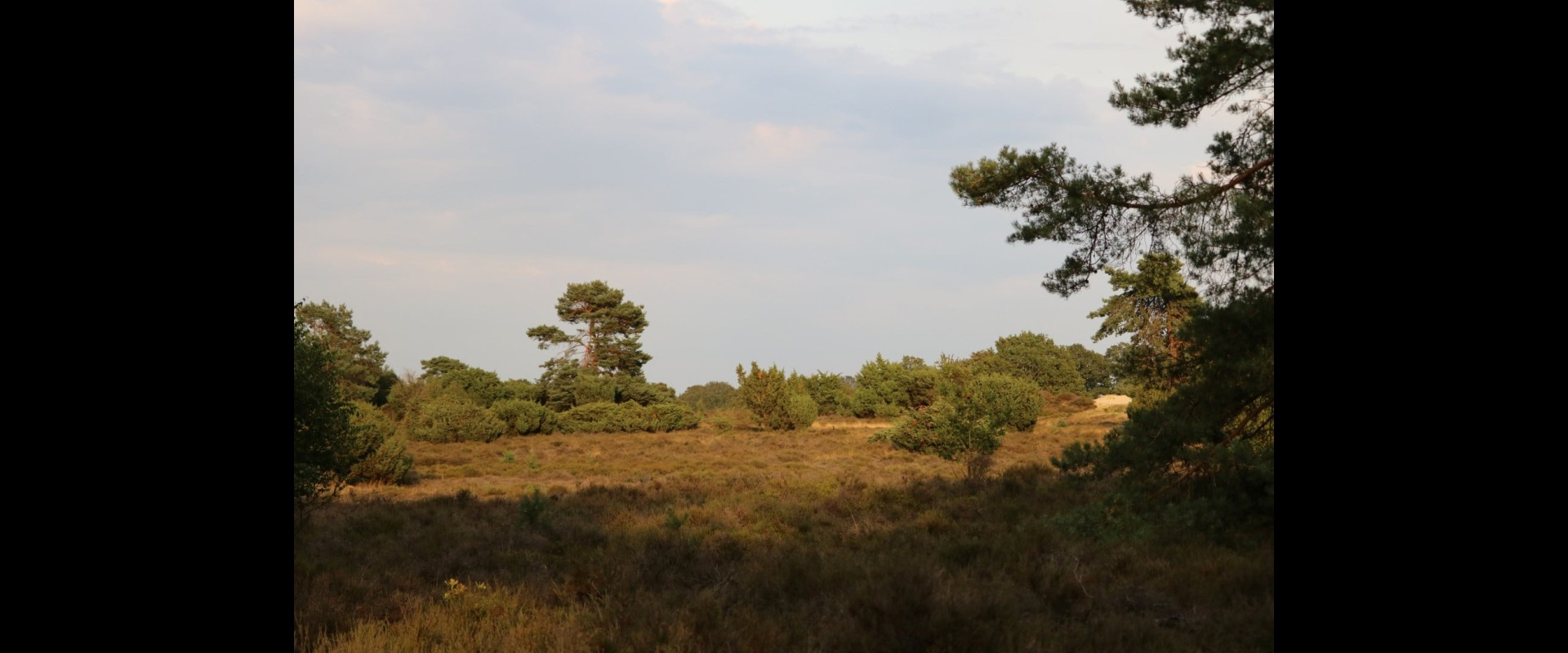 IMG_5663-Large.jpg