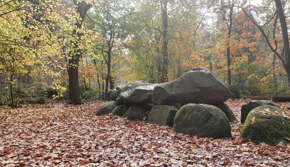 hunebed-anloo-herfstbos-drouwen-drenthe.jpg
