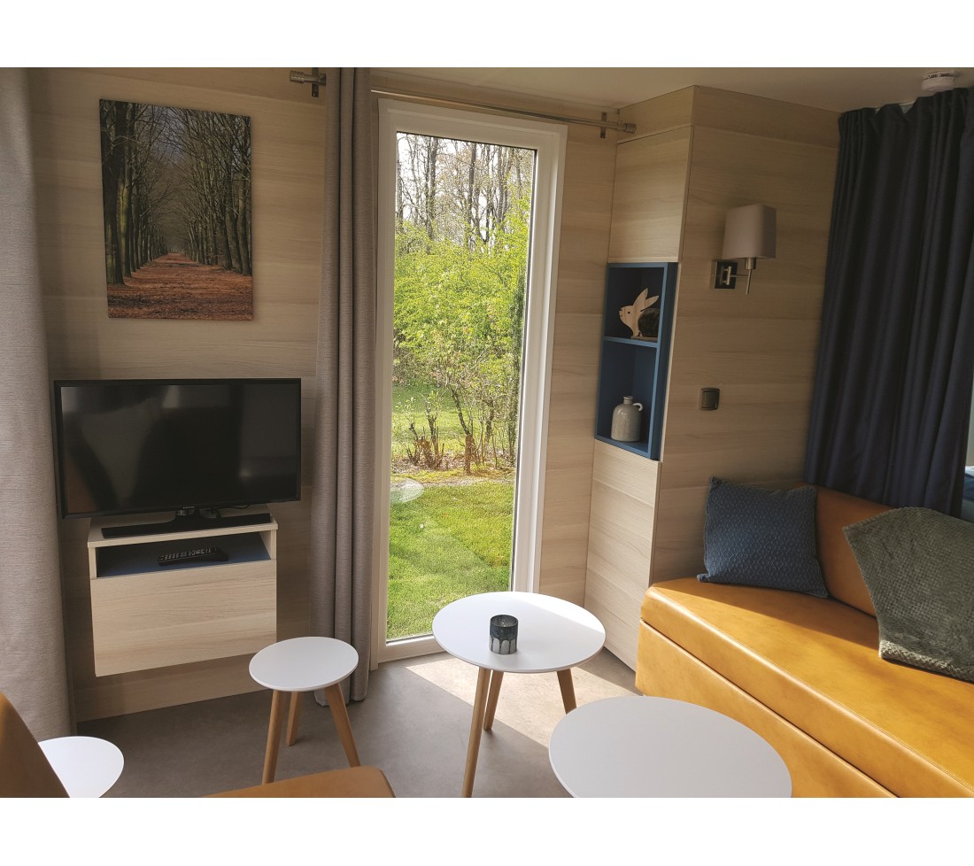 Leefgedeelte berkenstudio de luxe