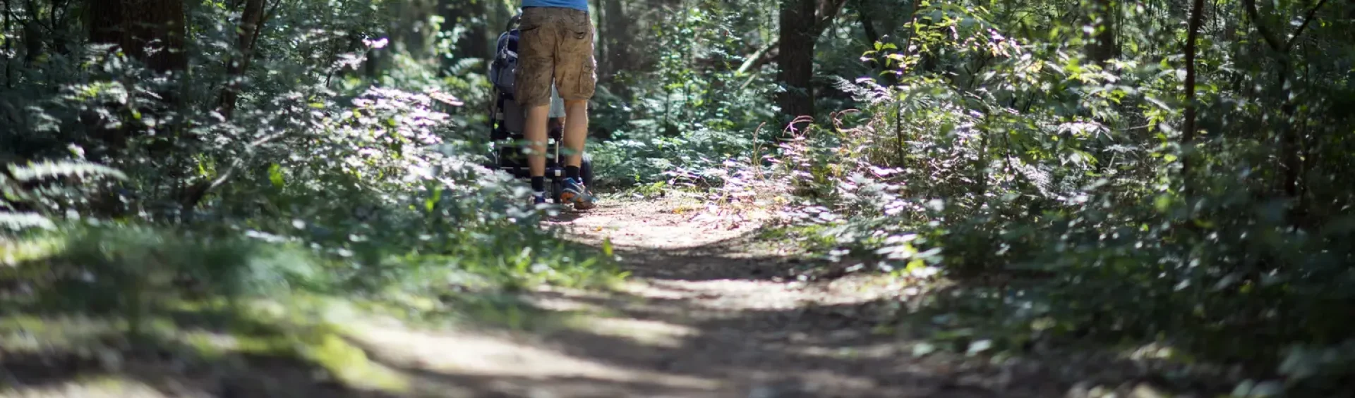 Kindercamping bij het bos in Drenthe